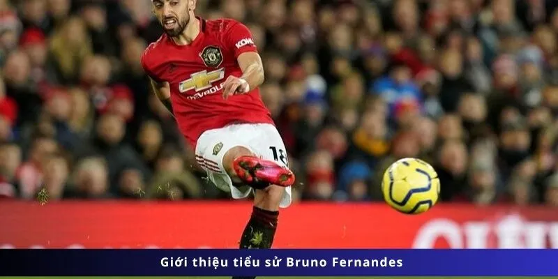Tiểu Sử Bruno Fernandes 1 Giới thiệu tiểu sử Bruno Fernandes