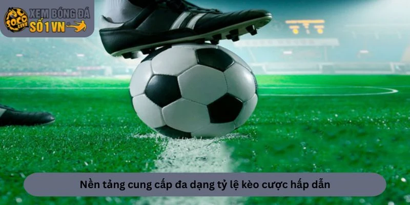 Tỷ Lệ Kèo 2 Nền tảng cung cấp đa dạng tỷ lệ kèo cược hấp dẫn