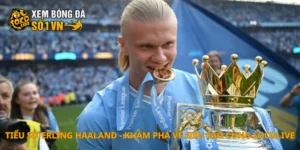 Tiểu sử Erling Haaland